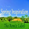 Download track Spring Inspiration