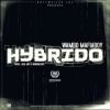 Download track Hybrido