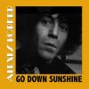 Download track Go Down Sunshine