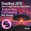 Download track Goodbye (Don't Forget That You Were Mine) 2018 (Original Club Mix)