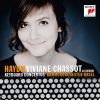 Download track Keyboard Concerto In D Major, Hob. XVIII: 11: I. Vivace