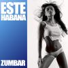 Download track Zumbar (Danza Kuduro Remix)