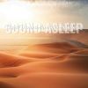 Download track Desert Dunes In The Wind Ambience, Pt. 16