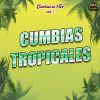 Download track El Cachumbeo