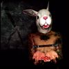 Download track Le Lapin Blanc (A7ie Mix)