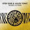 Download track Roses In Rain (Extended Mix)