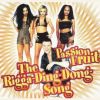 Download track The Rigga-Ding-Dong-Song (Radio Mix)