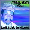 Download track Dan Sa'in Zazzau