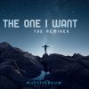 Download track The One I Want (Eat Dust Remix; The Remixes)