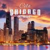 Download track Chicago At Night (Extended Night Mix)