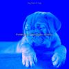 Download track Carefree Moods For Lonely Dogs