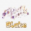 Download track Blake