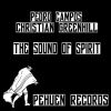 Download track The Sound Of Spirit (Original Mix)