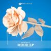 Download track Mood (Petja Virikko Remix)