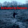 Download track Enchanted By Darkness