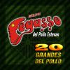 Download track El Paso Del Gansito