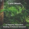 Download track Calm Music, Pt. 79