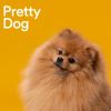 Download track About The Pup