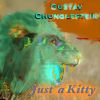 Download track Just A Kitty (S1tS Remix)