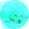 Download track Inspired Calming Pups