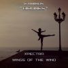 Download track Wings Of The Wind (Original Mix)