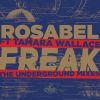 Download track Freak (Ralphi Rosario Dub Mix)