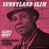 Download track Sunnyland Special