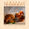 Download track Chillout Spa Music