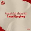 Download track Tranquil Symphony