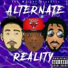 Download track Alternate Reality