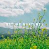 Download track Sit Back And Relax In The Sound Of Nature