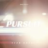 Download track Dynamic Pursuit