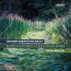 Download track 10. Petr Skalka - Suite No. 5 In C Minor BWV 1011 IV. Sarabande