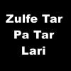 Download track Zulfe Tar Pa Tar Lari