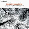 Download track Sonata For Piano (Broken Branches)