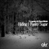 Download track Hiding (Original Mix)