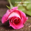 Download track Gul Olur