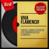 Download track Colombiana Flamenca