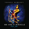 Download track We Are A Miracle