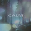 Download track CALM