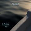 Download track Levin