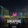 Download track Singapore (A. L. Y. S. Remix)