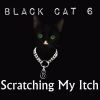 Download track Black Cat