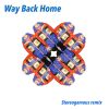 Download track Way Back Home (Stereogamous Remix)