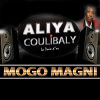 Download track Mogo Magni