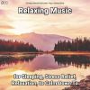 Download track Relaxing Music, Pt. 2