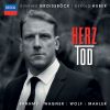 Download track Wagner: Wesendonck Lieder, WWV 91-2. Stehe Still!