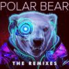 Download track Polar Bear