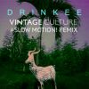 Download track Drinkee (Vintage Culture & Slow Motion! Remix)