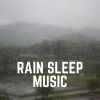 Download track Rain Is Grace